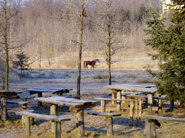 Sasil Srl Ripristini ambientali